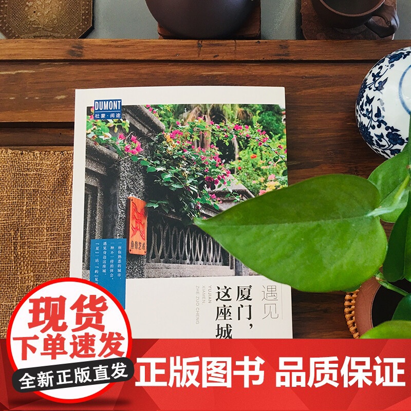 厦门 这座城 藏羚羊旅行指南编辑部 著 旅游地图高清大图