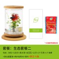 鱼缸创意桌面小型透明玻璃斗鱼缸迷你精致懒人造景家用生态瓶_1 默认尺寸 生态套餐2