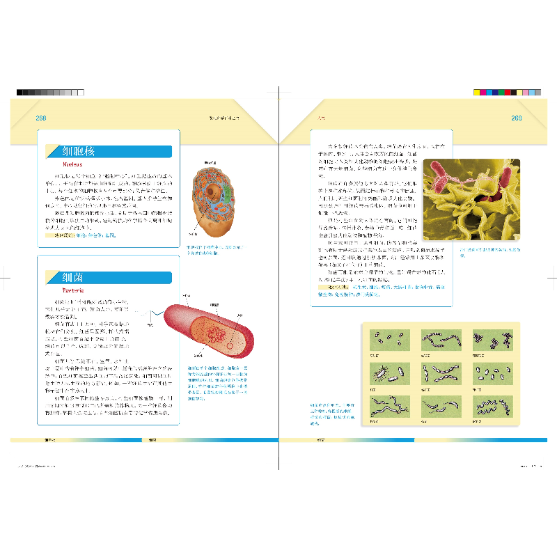 醉染图书人类2(发现科学百科全书)9787532655021高清大图
