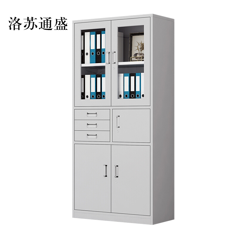 洛苏通盛钢制文件柜资料柜档案柜财务凭证柜带锁储物柜铁皮柜书柜偏三内保文件柜常规款