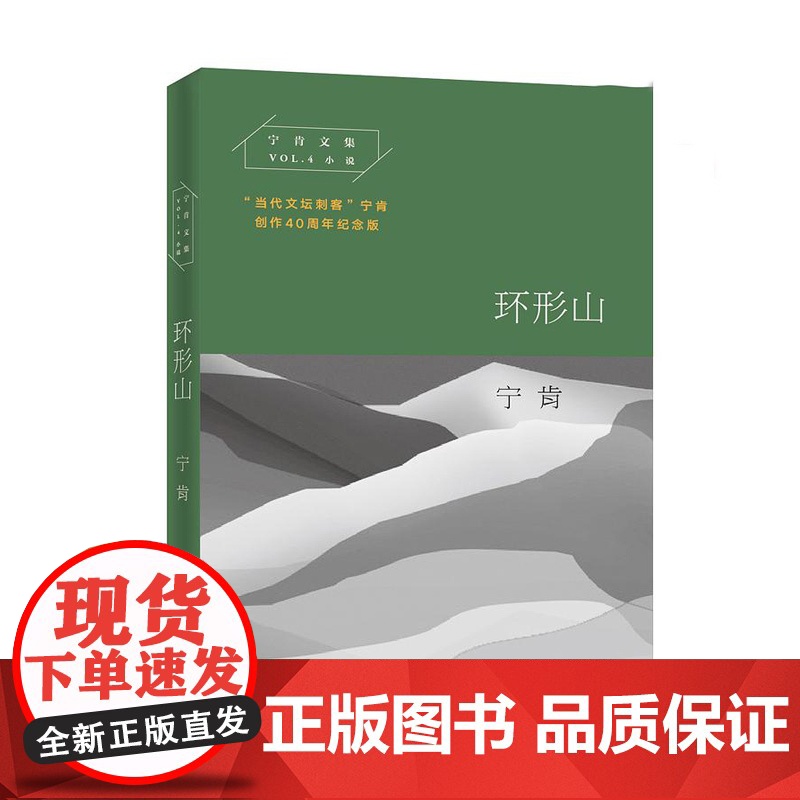 环形山 宁肯文集 当代文坛刺客 长篇小说 黑色幽默悬疑小说 荒诞小说 中国当代文学小说 上海文艺出版社高清大图