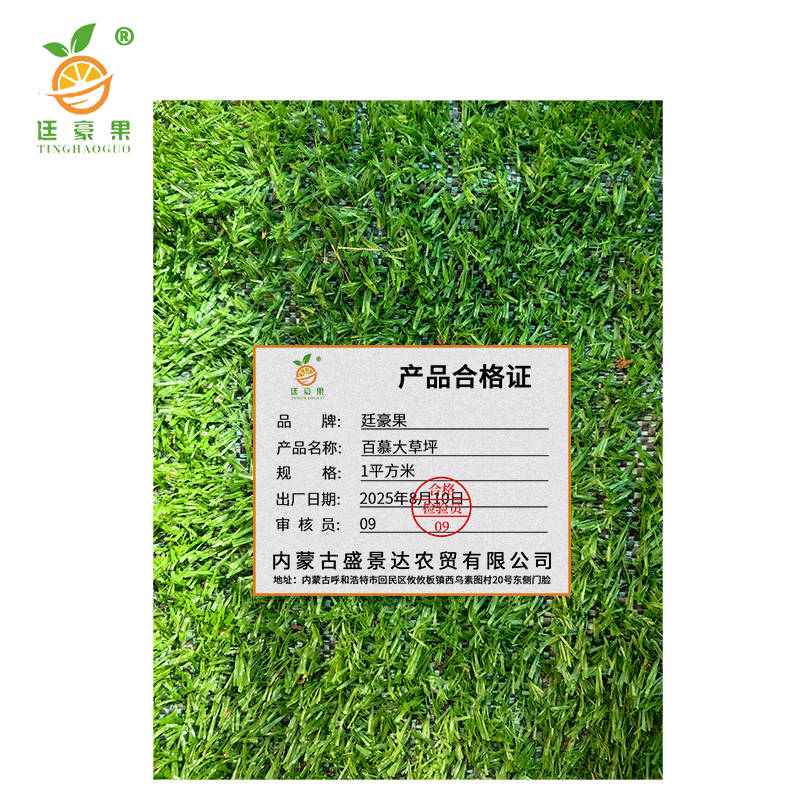 廷豪果 百慕大草坪 1平方米 /块高清大图