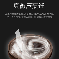 苏泊尔（SUPOR）电饭煲CFXB40FC680-75 电饭锅 4L容量 球釜内胆 预约功能 底盘加热 炫彩摩卡金