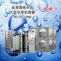 冠纯 反渗透大型水质处理器 RO-JS1-12000 商用净水设备