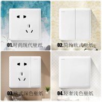 DELIXI 德力西开关插座大板无边框白pc家用暗装宽带网线电脑插座二位电脑CD790白