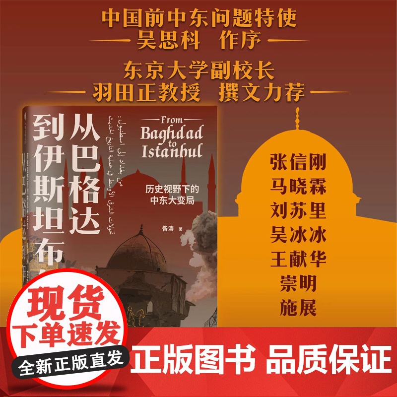 从巴格达到伊斯坦布尔 历史视野下的中东大变局 昝涛著 张信刚施展荐读 北京大学伊斯兰文明与现代世界通识课中信出版社高清大图
