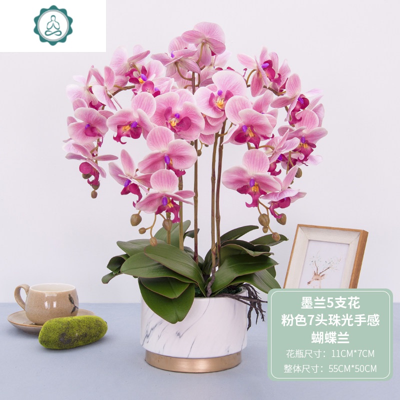仿真花假花客厅摆设装饰花蝴蝶兰花艺摆件塑料花盆栽茶几餐桌花封后清兰 石头纹 小号紫红色 8支花 仿真植物图片 高清实拍大图 苏宁易购