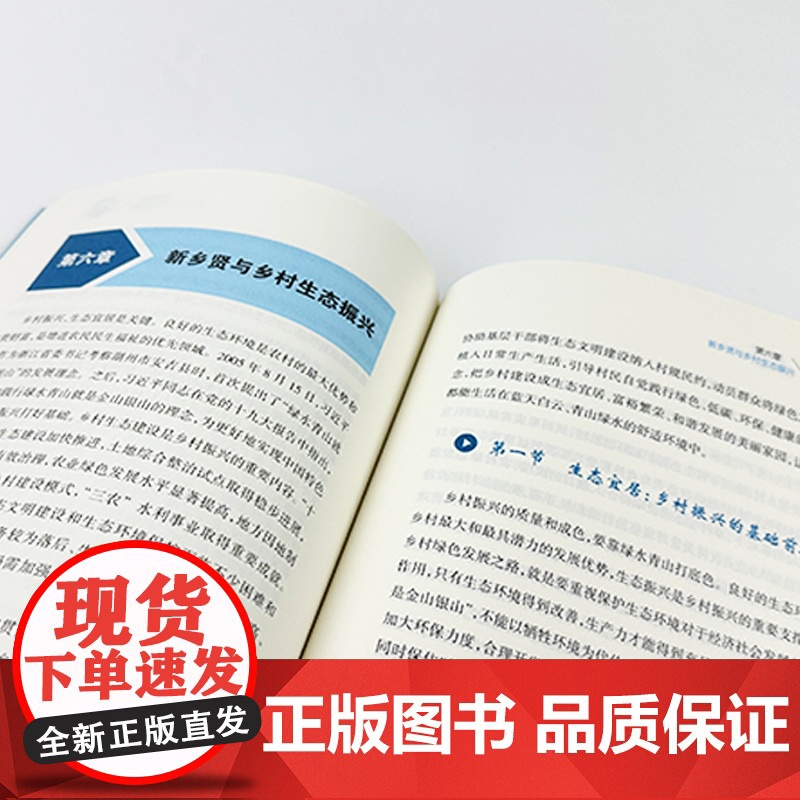 [助力乡村振兴出版计划·现代乡村社会治理系列]新乡贤与乡村振兴高清大图