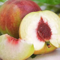 鲜贝达青州蜜桃净重4.5斤装【单果100g左右】桃子