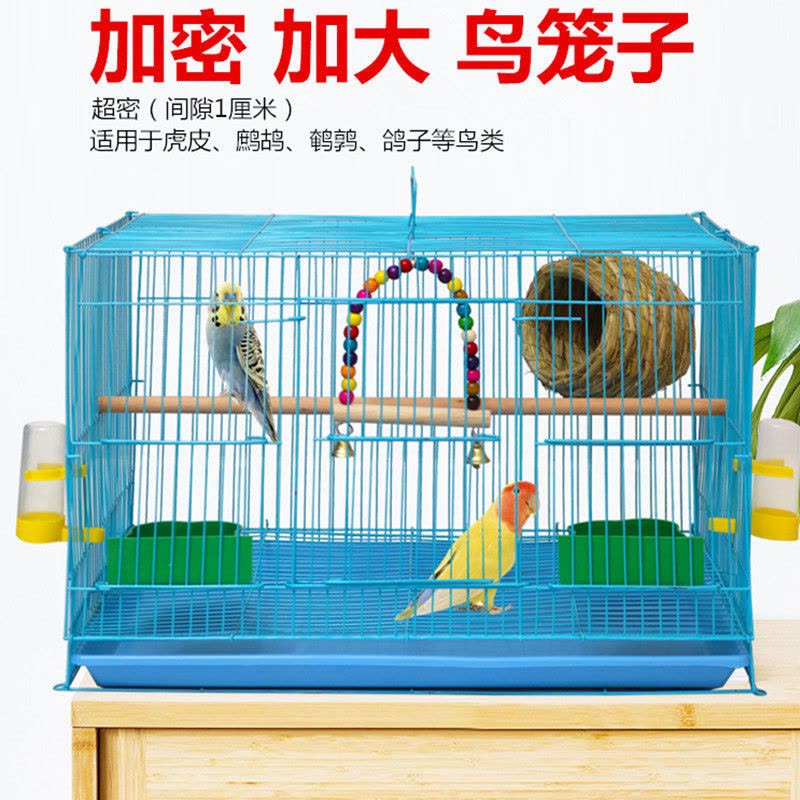 鸟笼大号金属鸟笼玄凤虎皮鹦鹉八哥绣眼鸟笼相思鸟繁殖家用鸟笼图片