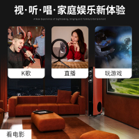 奔腾(BNTN)套装家庭影院KTV音响卡拉OK音箱组合点歌机电视客厅会议音响5.1声道功放低音炮无线话筒效果器全套