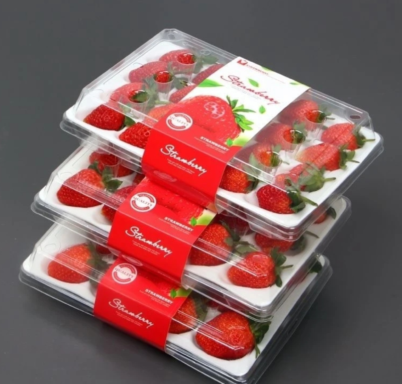 顺丰快递[熊猫鸟]彩箱装 四川正宗大凉山露天草莓 中果 单果20g左右 净重1.2斤 (300g*2) 吸塑盒