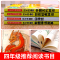 [单本]希腊神话故事 [正版]中国古代神话故事四年级上册阅读课外书必读的书目世界经典神话希腊神话故事山海经小学生版快乐读