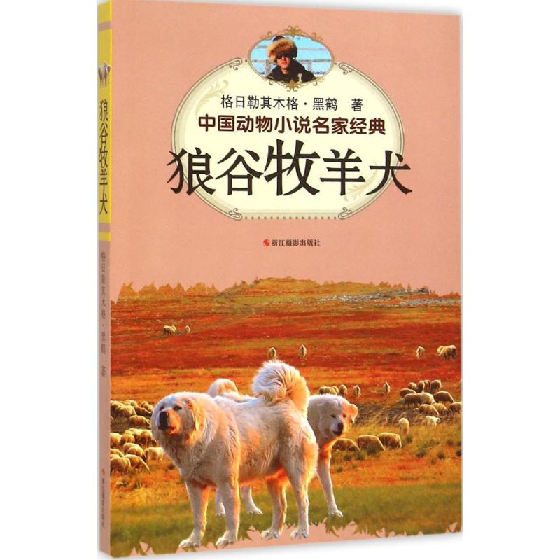 醉染图书狼谷牧羊犬9787551412247高清大图