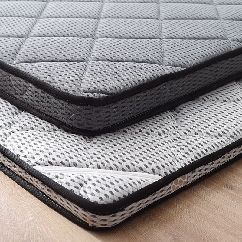 2棕榈垫子家用偏硬儿童床垫