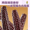十月稻田云南紫糯拇指玉米500g(8‑12根)西双版纳迷你紫糯小玉米真空软糯儿童早餐粗粮
