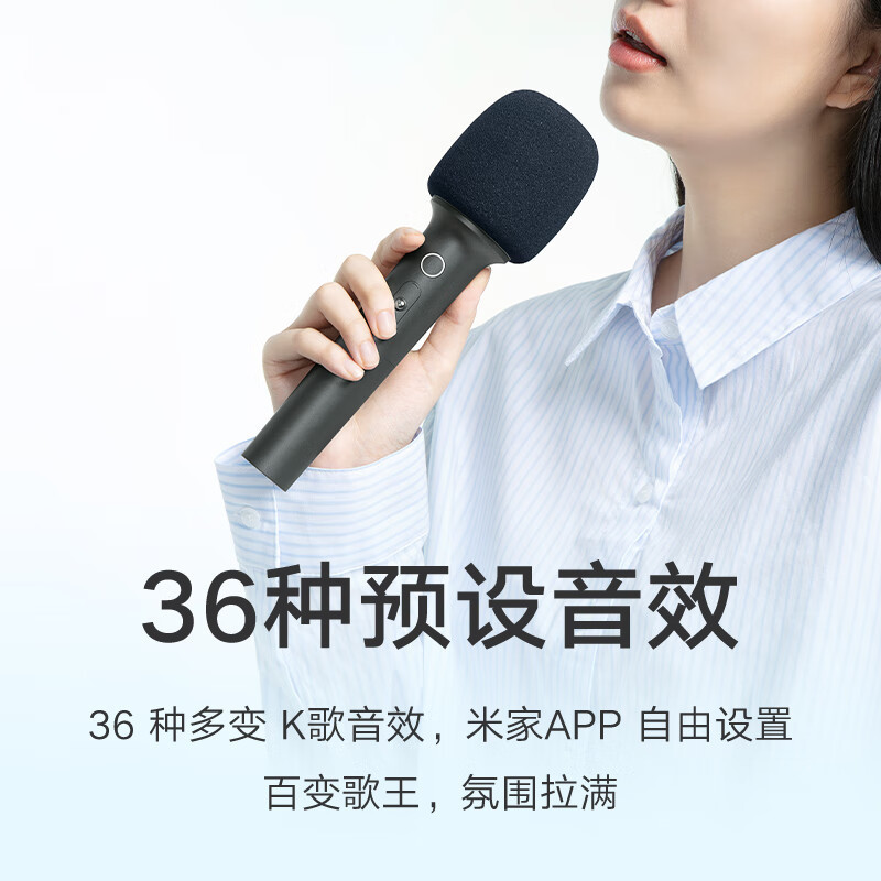 小米米家MIJIA K歌电视麦克风大屏版2支装 小米电视Redmi电视家庭KTV 家用K歌话筒