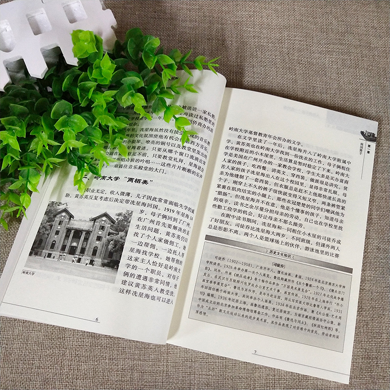 [正版]人民音乐家 冼星海 郭冰茹著 中小学生阅读指导目录 黄河大合唱等革命歌曲创作人现当代文学散文随笔文学作品集人物传