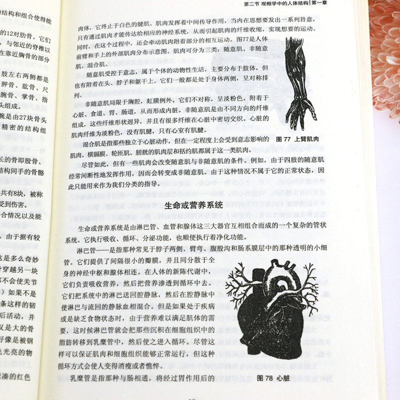 [2册] 相术+观相学:相学史上的旷世奇书 书籍高清大图