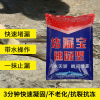 堵漏王速干水泥卫生间屋顶裂缝漏水神器材料灵防水胶补漏涂料3分钟速干水泥砂浆 2kg/袋