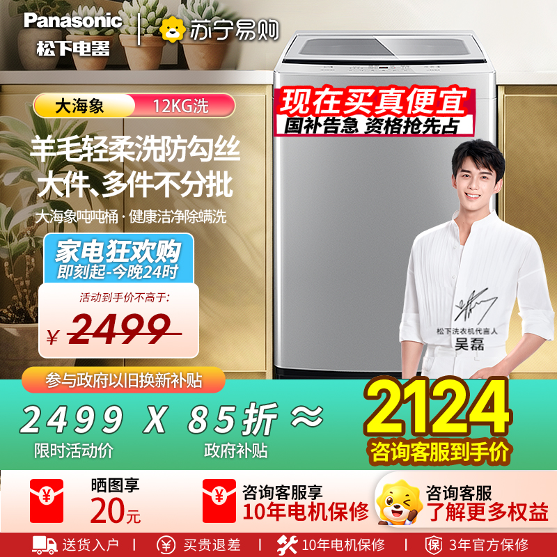 松下波轮洗衣机XQB120-K2M1