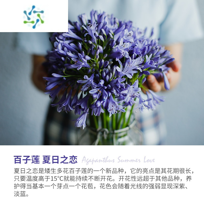 三维工匠园艺用品报价_参数_图片_视频_怎么样_问答-苏宁易购