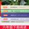 [下册]四本 扫码听书 送练习册 六年级课外书籍必读老师推荐 鲁滨逊漂流记正版汤姆索亚历险记