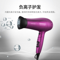 飞科（FLYCO）FH6618电吹风 负离子功能 6档变速 控温调节热量均衡护发2000W大功率可折叠手柄家用发廊吹风筒