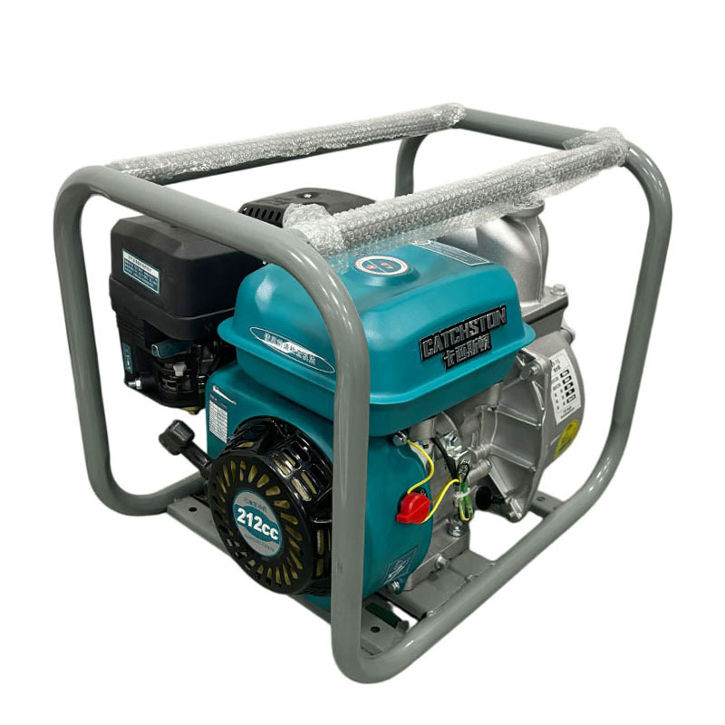 卡西斯顿 抽水泵 WP-20 台高清大图