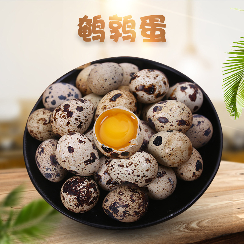 新鲜鹌鹑蛋 100枚 1箱