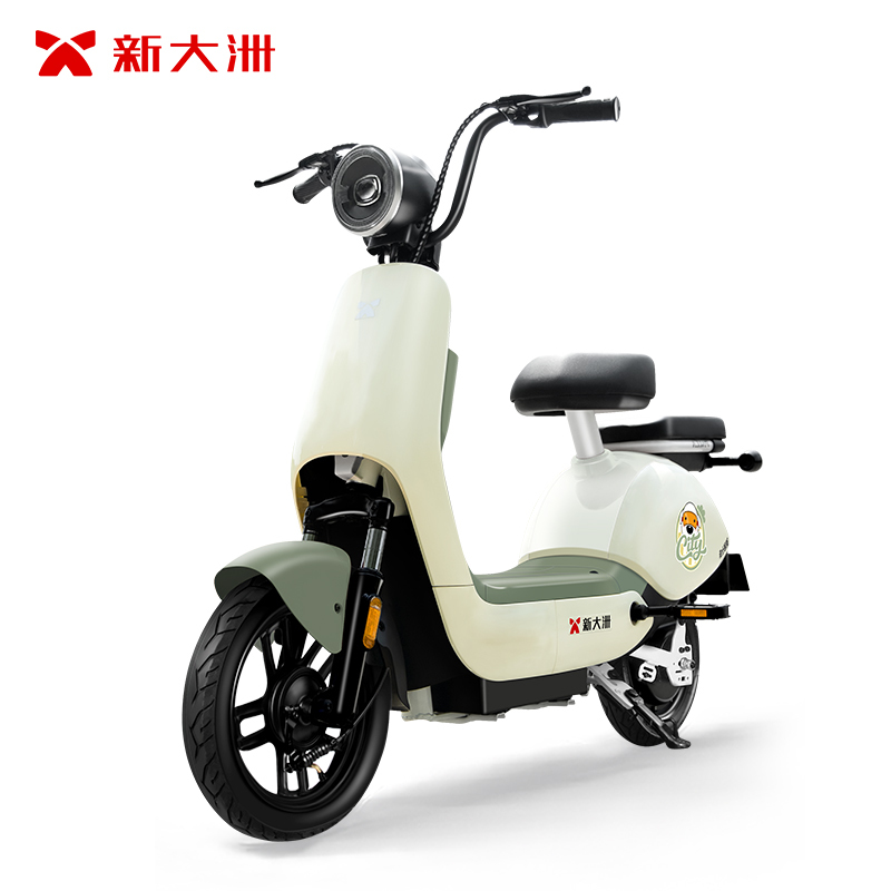 派乐/PALLA 情天 新国标48V16Ah铅酸电动自行车长续航轻骑两轮成人电动车 元气桔