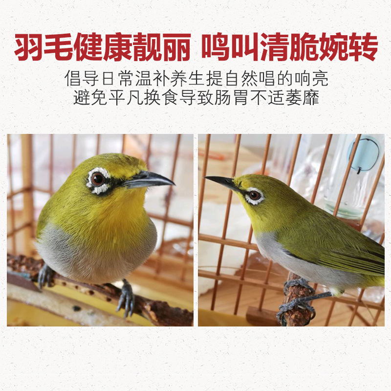 绣眼鸟食秀眼鸟饲料 红肋暗绿相思鸟四喜腾食物粮绣眼食