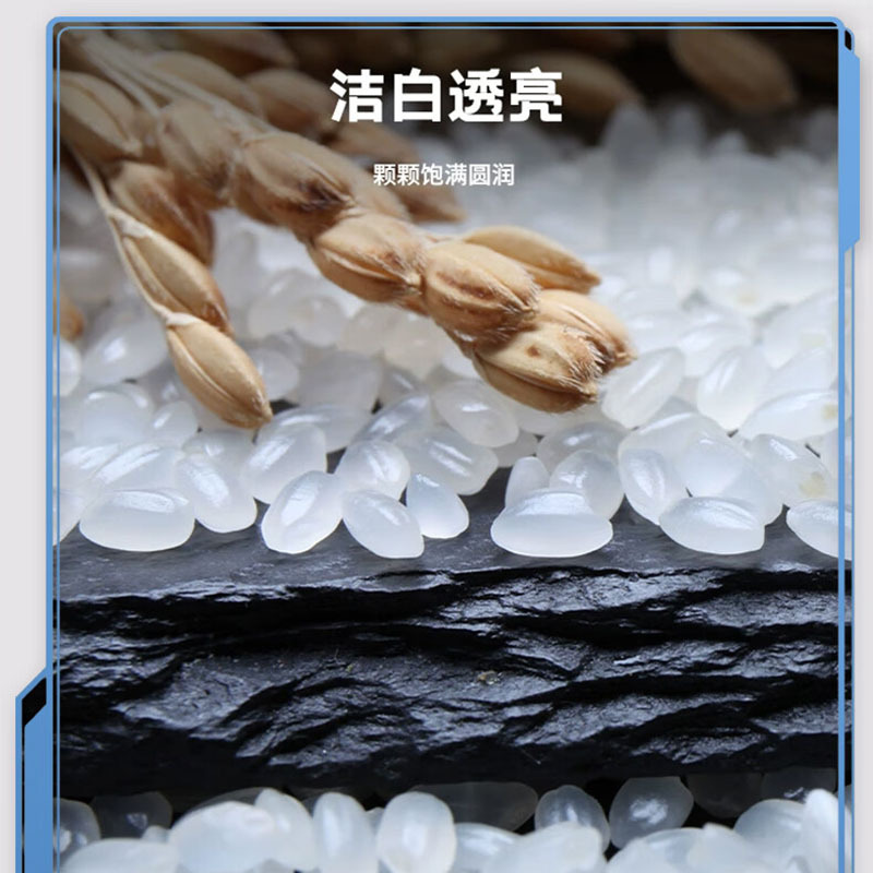 邻家饭香ZCHA168 五常大米 核心产区 10kg/袋高清大图