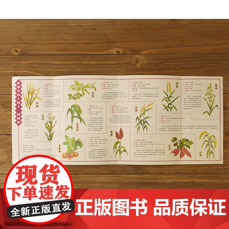 中信出版社]中国食物 主食史话 史军著 写给每个中国人的粮食通史高清大图