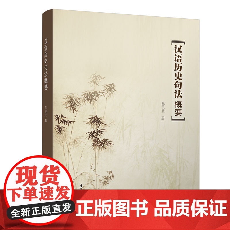 正版新书汉语历史句法概要张美兰 清华大学出版社 汉语史-句法-研究高清大图