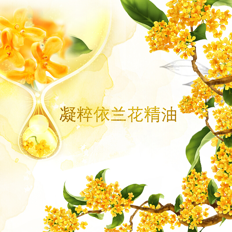 力士 金桂悠香 精油香氛沐浴乳720g（单位：瓶）