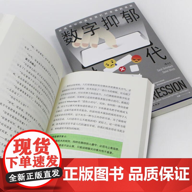 数字抑郁时代 萨拉迪芬巴赫   丹尼尔乌尔里希民主与建设出版社高清大图