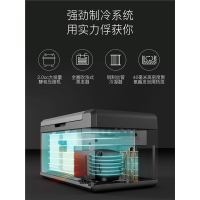 科敏(KEMIN)24L车载小冰箱24v货车冷藏压缩机迷你车家两用制冷藏冷冻_12V-24V车载型220V家用车家二用
