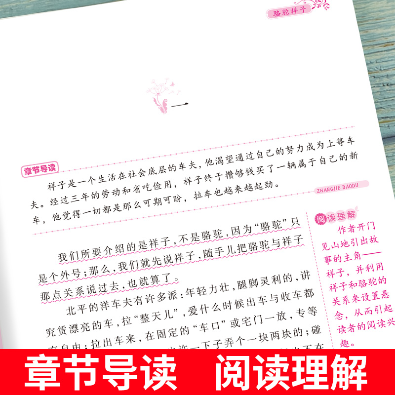 [七下必读课外书3本]骆驼祥子+海底两万里+钢铁是怎样炼成的[注解+点评+习题] [正版]骆驼祥子和海底两万里七年级下册高清大图