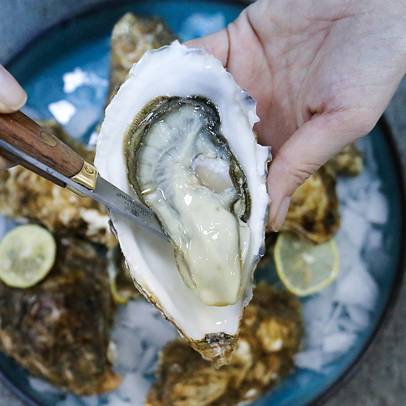 海洋岛N4大连新鲜大生蚝鲜活牡蛎即食海鲜水产海蛎子3800g