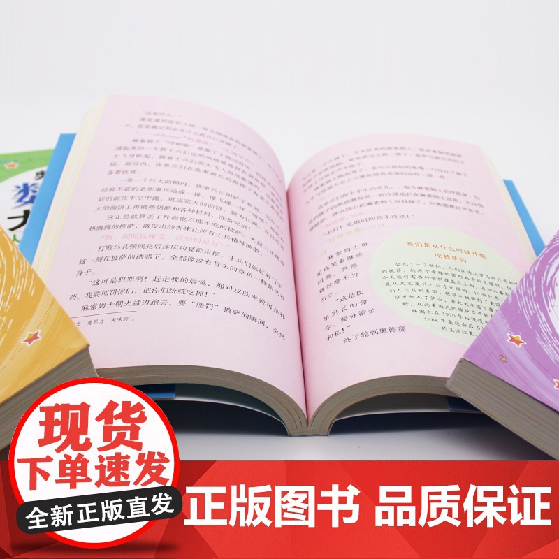 奥德赛数学大冒险系列:数的世界+面积和图形+方程式和未知数+从集合到勾股定理(全4册)九州出版社 安素玎 姜尚均著作 朴高清大图
