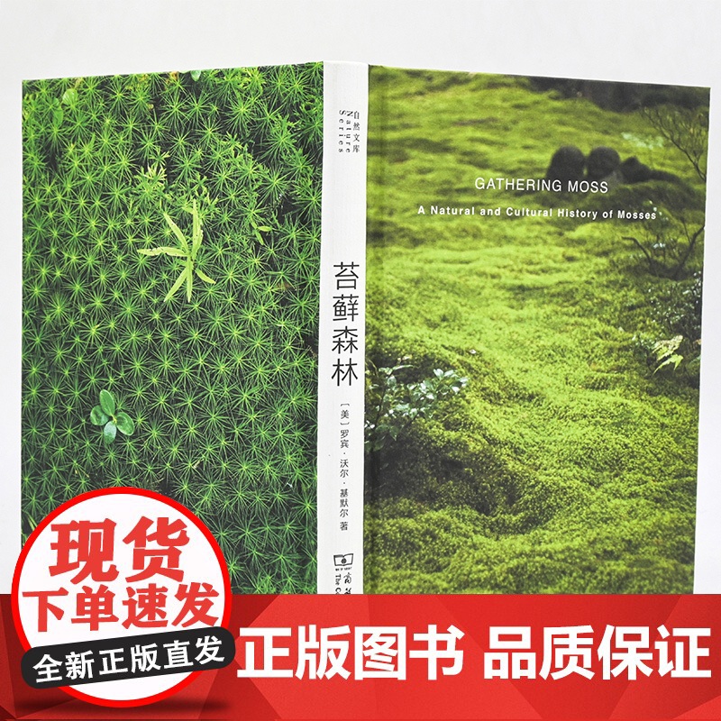 苔藓森林 基默尔 商务印书馆 自然文库 苔藓生态摄影微观陆地生态苔藓故事 博物学自然科普生物学陆生植物学苔藓知识科普书籍高清大图