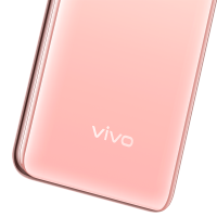 vivo S1 宠爱粉 6GB+128GB 全面屏 全网通4G手机