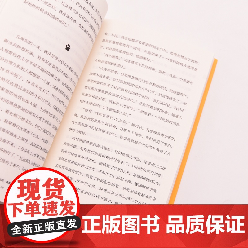 生活破破烂烂狗狗缝缝补补 成功励志疗愈减压人生励志狗狗的生活哲学宠物高清大图