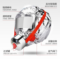 防毒面具 防毒面具防烟面罩火灾逃生 TZL30过滤式自救呼吸器