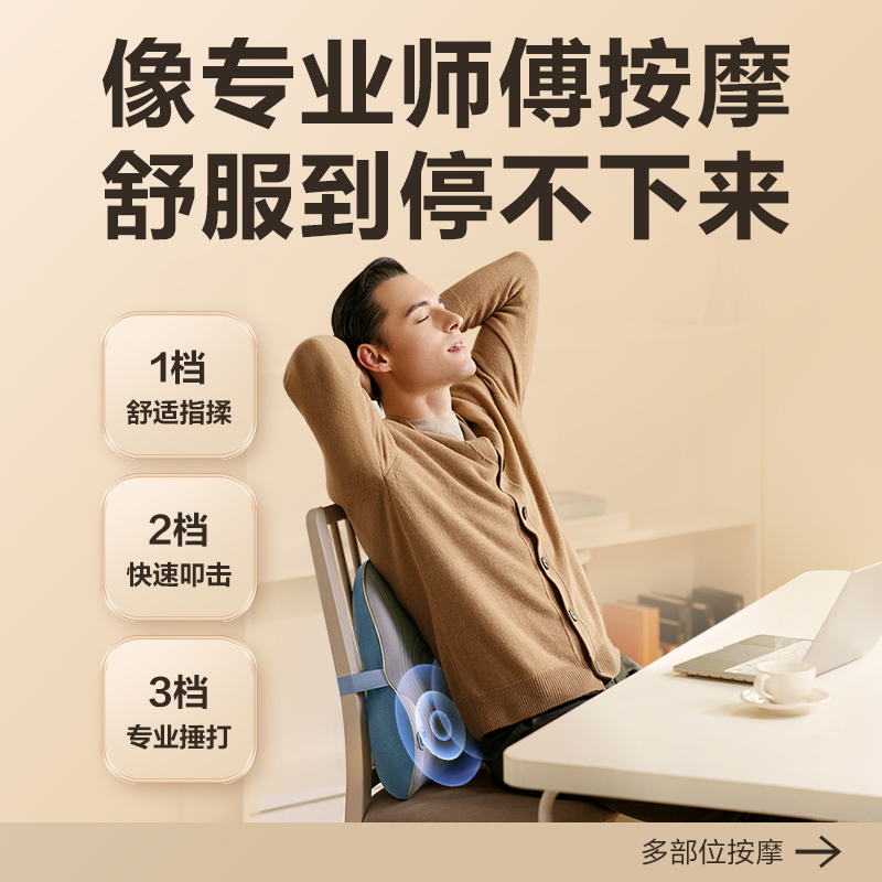 艾诗凯奇(SKG) T3时尚款腰靠按摩器高清大图