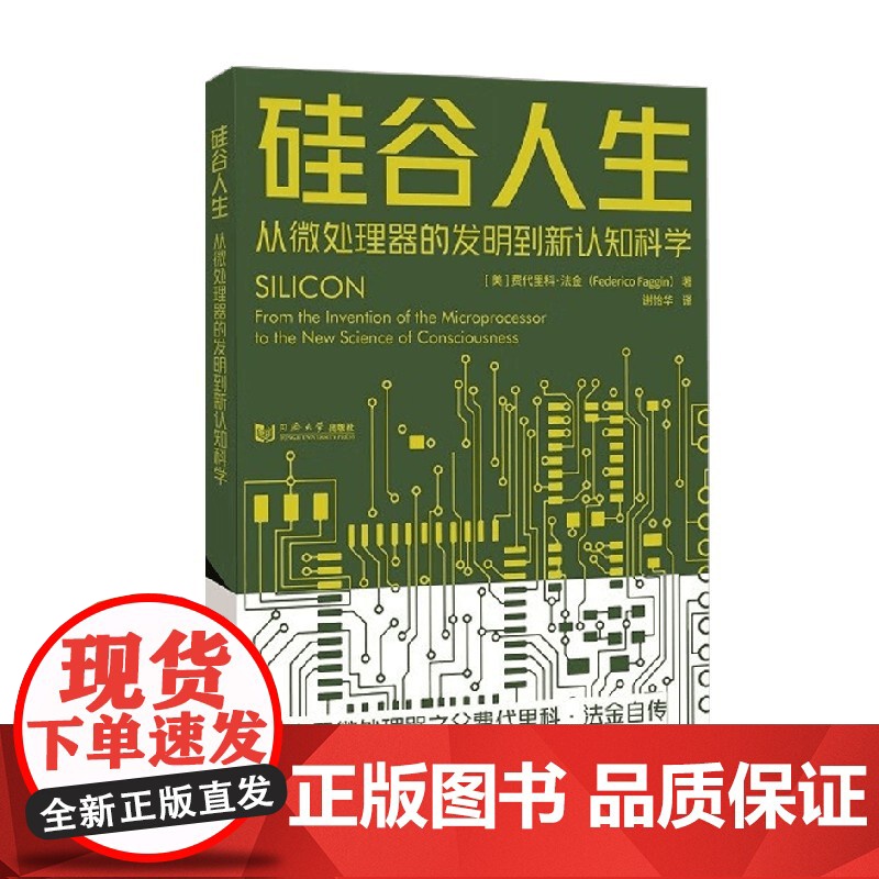 硅谷人生 从微处理器的发明到新认知科学 费代里科·法金 著 电子与通信高清大图