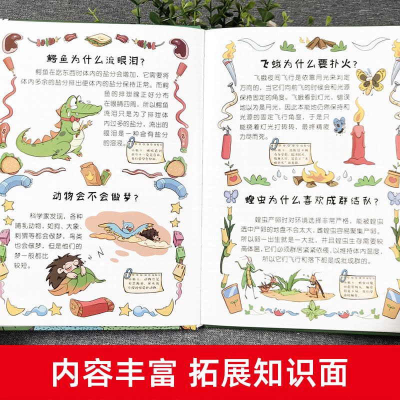 [醉染正版]儿童趣味百科全书漫画版书籍十万个为什么少儿大百科精装硬壳科普绘本3到6-12岁幼儿宝宝启蒙认知早教书幼儿园小图片