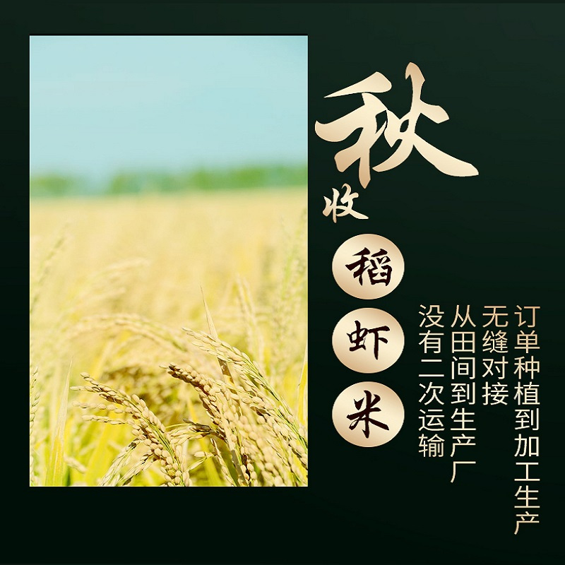 苏义禾稻虾(蟹)米4KG 350*88*180mm