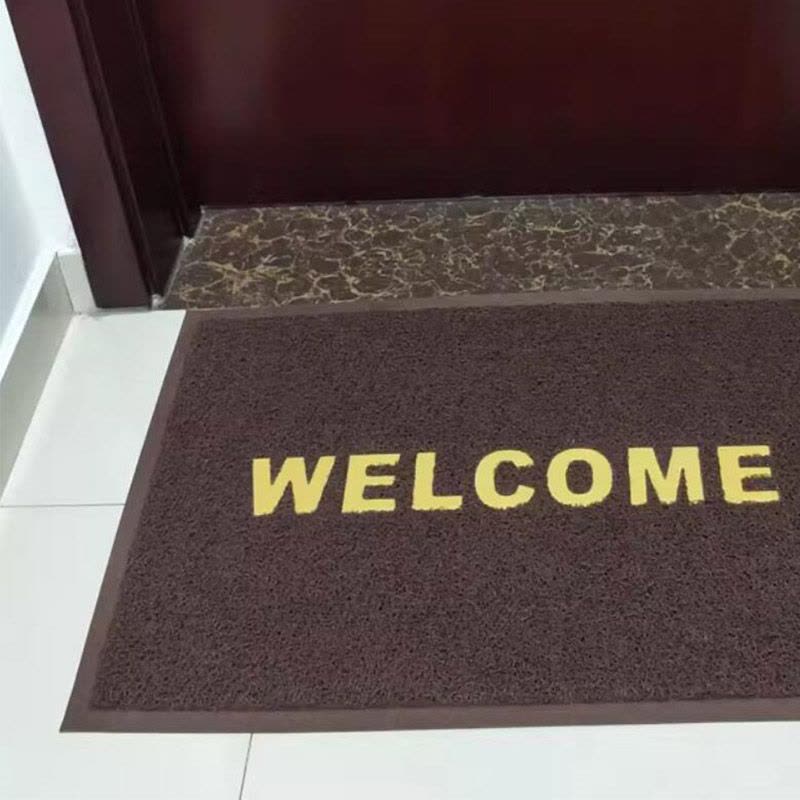 漂牌英文咖色加厚60*90cm耐磨进门防滑垫脚垫PVC丝圈地垫出口门垫图片